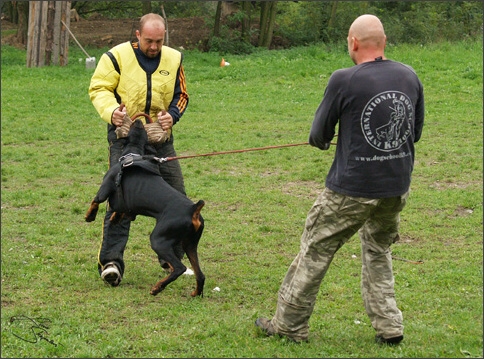 Training in Prague 10/2007